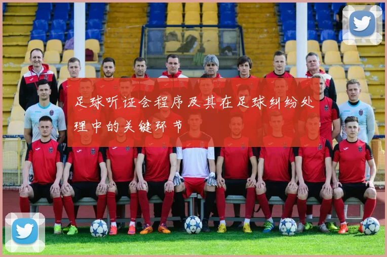 足球听证会程序及其在足球纠纷处理中的关键环节